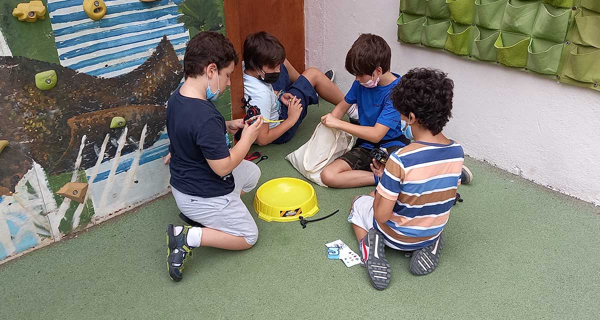 Oportunitats d'aprenentatge