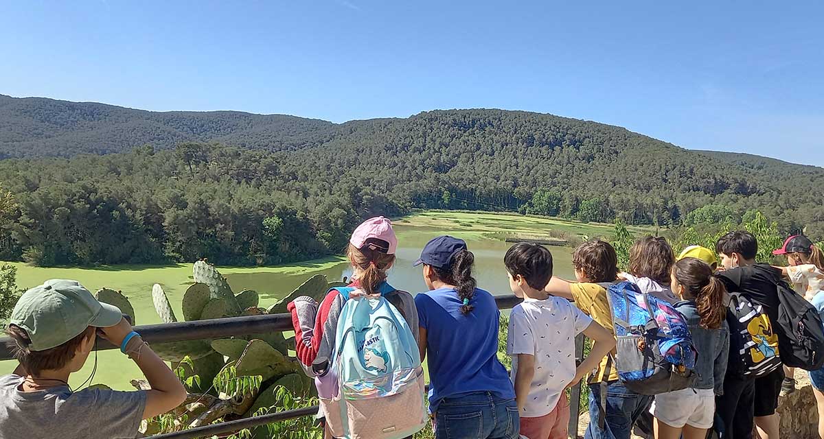 Dibuixar per veure, veure per dibuixar?