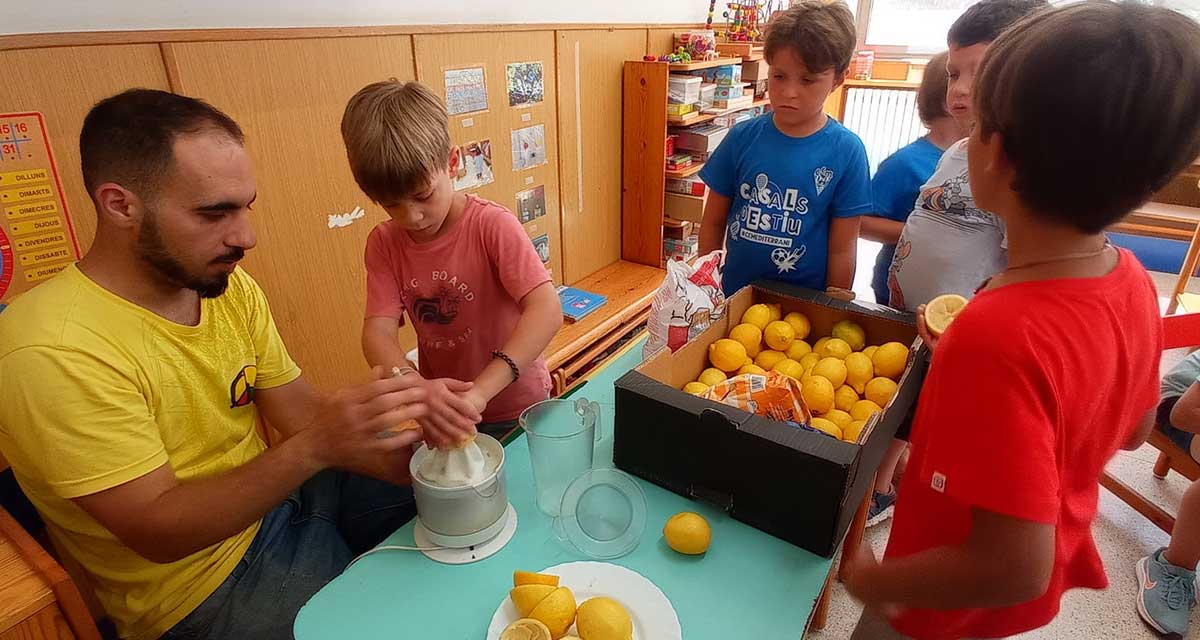 Com podem combatre la calor?