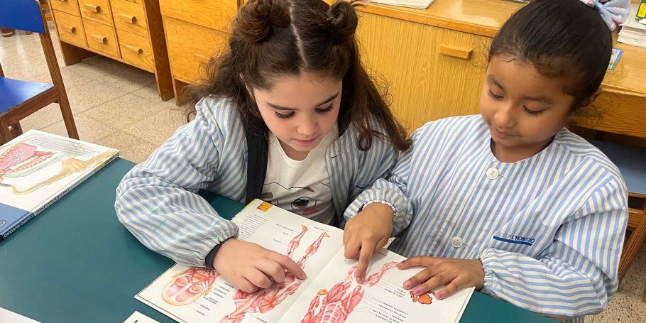 <time datetime="2026-05-18T10:41:12+00:00">18 de mayo de 2026</time> | <a href="https://www.escola-horitzo.cat/author/kike/">Super User</a> | <a href="https://www.escola-horitzo.cat/category/el-dia-a-dia/" rel="tag">El dia a dia</a>