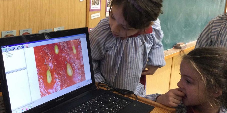 <time datetime="2023-03-10T18:03:53+00:00">10 de marzo de 2023</time> | <a href="https://www.escola-horitzo.cat/author/kike/">Super User</a> | <a href="https://www.escola-horitzo.cat/category/el-dia-a-dia/" rel="tag">El dia a dia</a> | <a href="https://www.escola-horitzo.cat/2023/03/10/invisible-als-ulls/#respond">No hay comentarios<span class="screen-reader-text"> en Invisible als ulls</span></a>