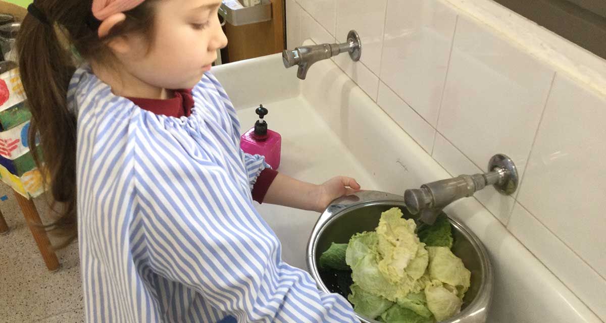 Fried the cabbage