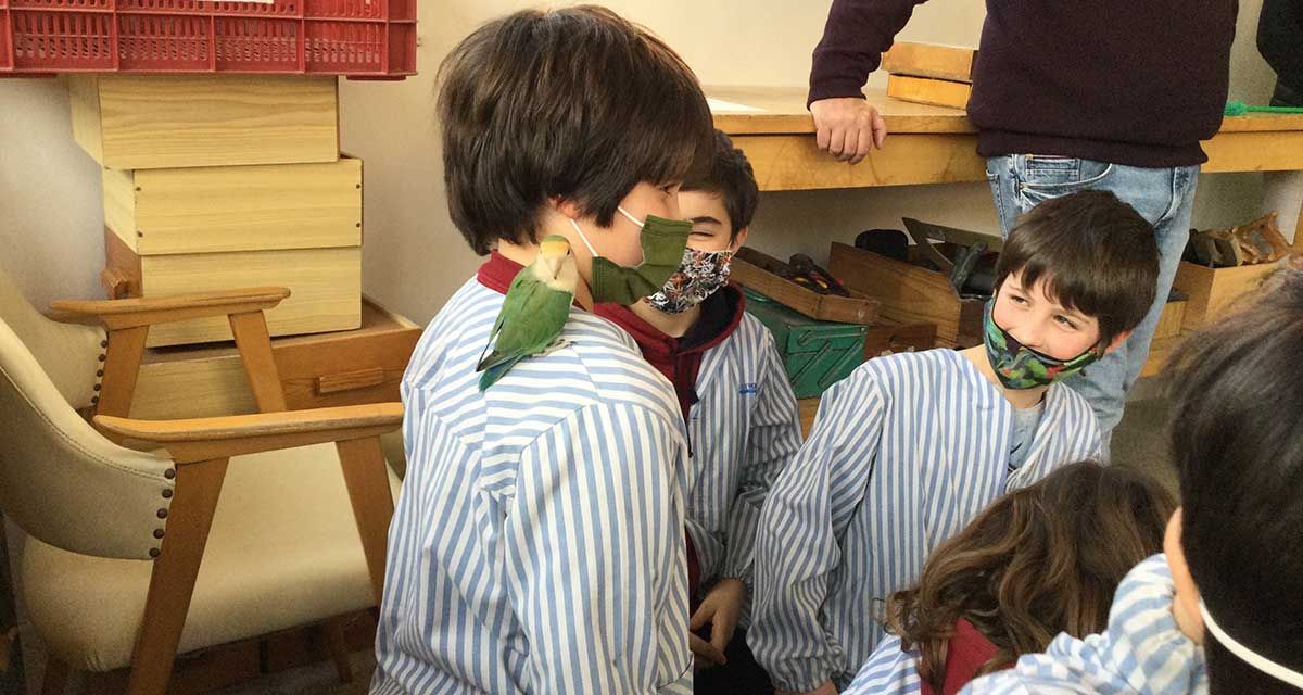 Projecte STEAM