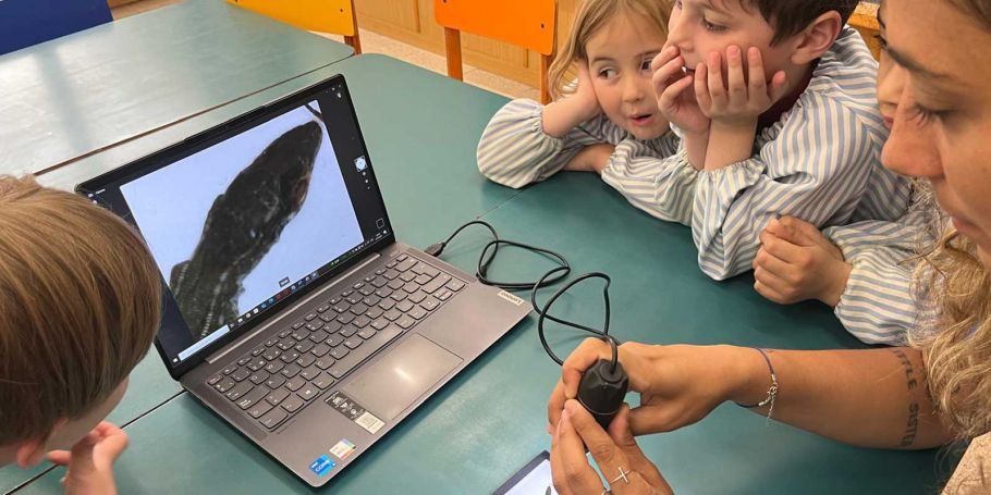 <time datetime="2025-05-25T05:02:59+00:00">25 de mayo de 2025</time> | <a href="https://www.escola-horitzo.cat/author/kike/">Super User</a> | <a href="https://www.escola-horitzo.cat/category/el-dia-a-dia/" rel="tag">El dia a dia</a>
